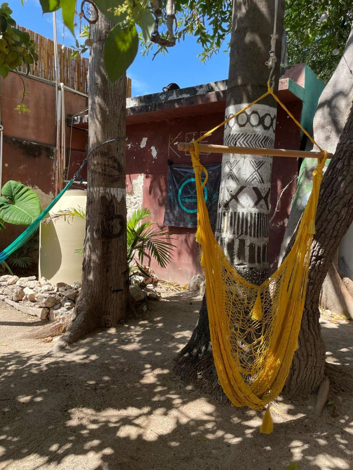 La Casa Del Keej Hostel Merida Exterior photo